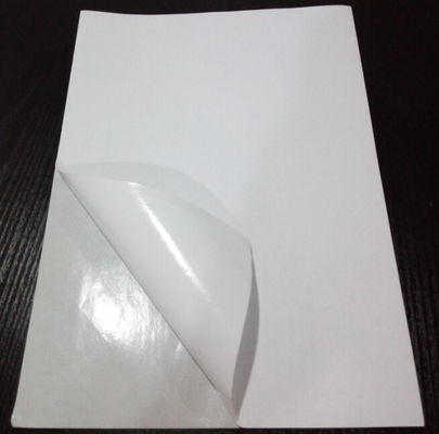 8,5 * 11 etiquetas termales cortadas con tintas del espacio en blanco para el envío
